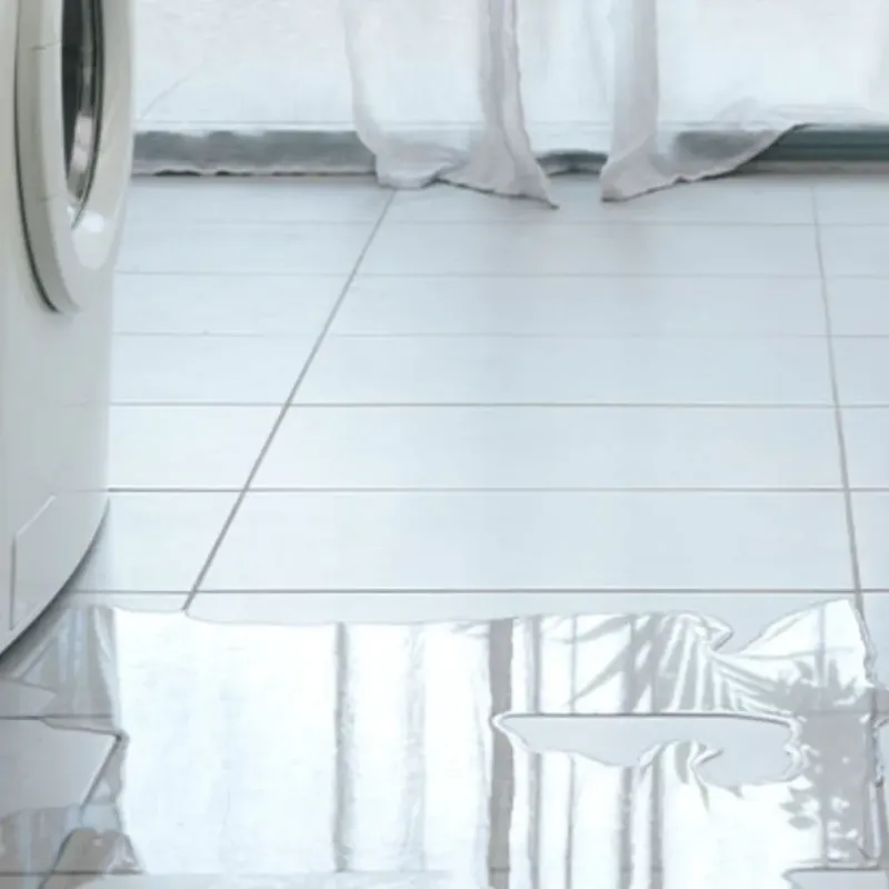 Appliance Leak Cleanup in Ashley, OH