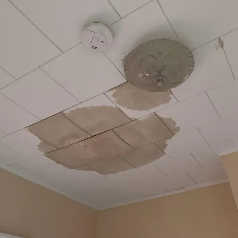 Ceiling Water Damage Repair in Ashley, OH