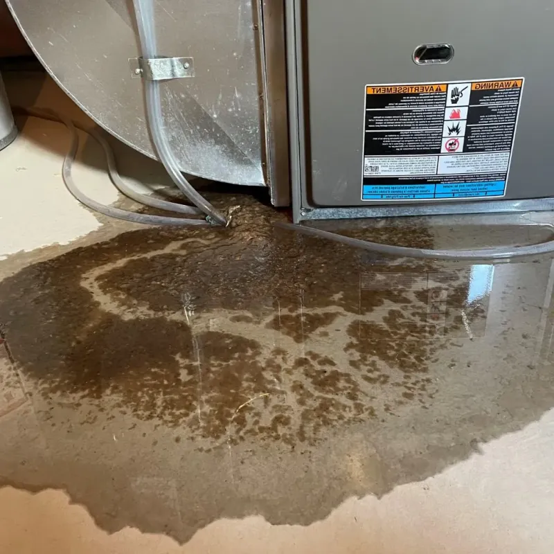 Pipe Burst and Leak Restoration in Ashley, OH