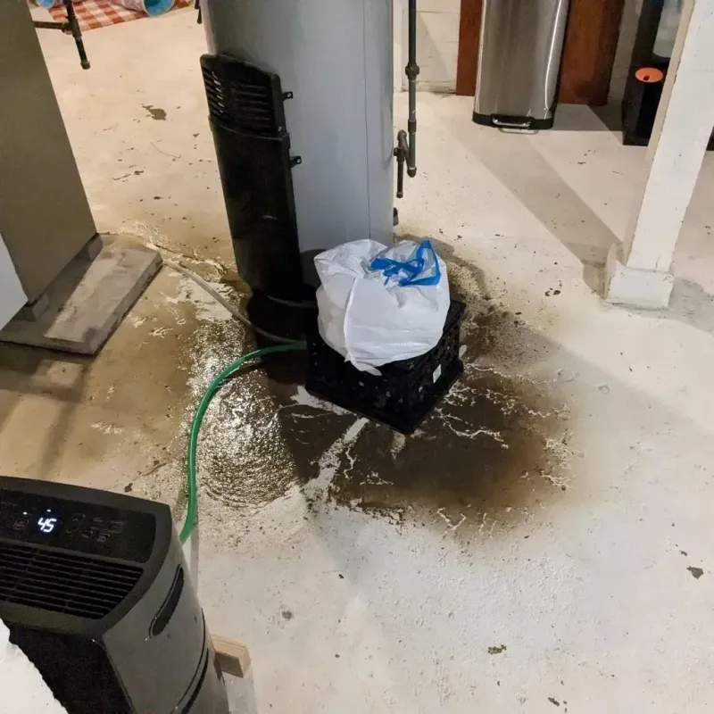 Sewage Backup Cleanup Service in Ashley, OH